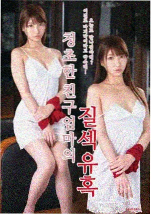蓝精灵动画片 圣诞特别篇 封面